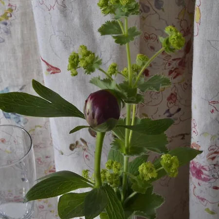 Romantisches Apfelstern 3* Unterwornitz