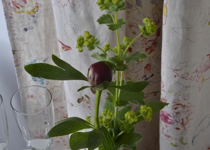 Romantisches Apfelstern 3* Unterwornitz