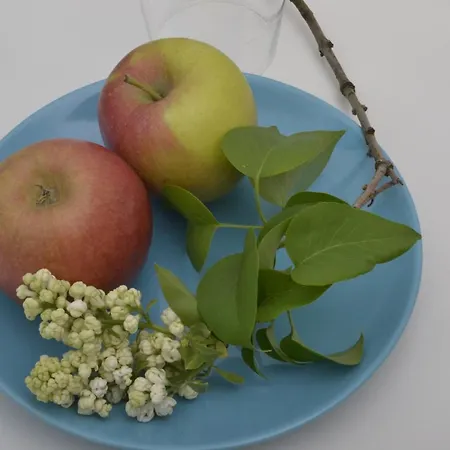 Romantisches Apfelstern Panzió Unterwornitz