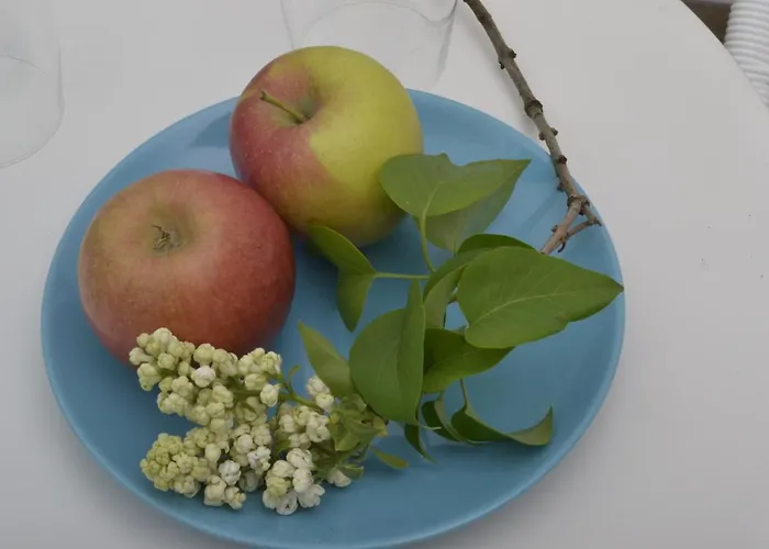 Romantisches Apfelstern Bed and Breakfast Unterwornitz