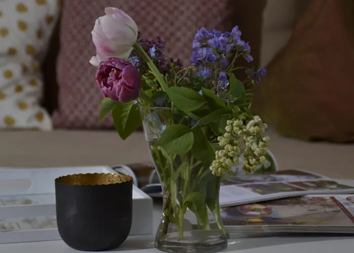 Bed and Breakfast Romantisches Apfelstern Unterwornitz